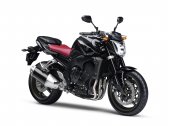 2009 Yamaha FZ1 photo